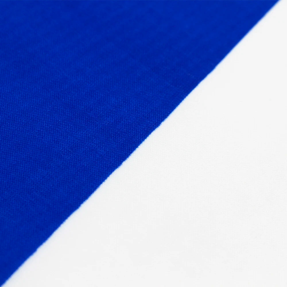 Drapeau National Israël