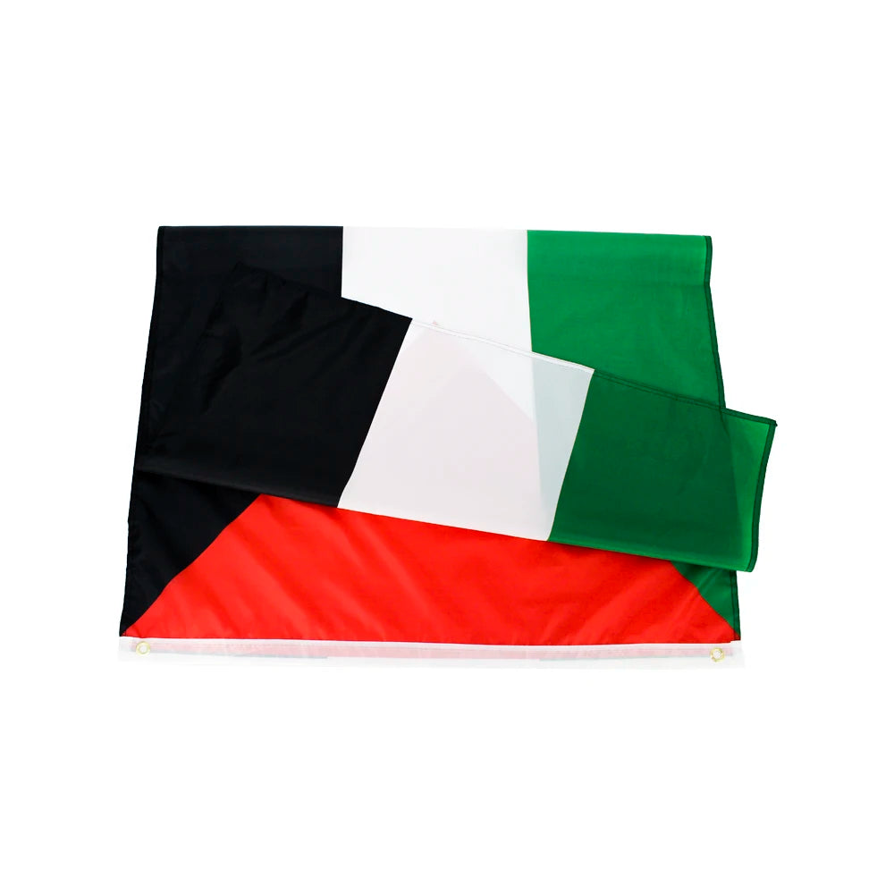 Drapeau National Palestine