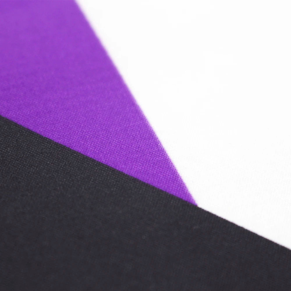 Drapeau Décoratif LGBTQIA Ace Communauté Asexuelle Pride Demi-asexuel