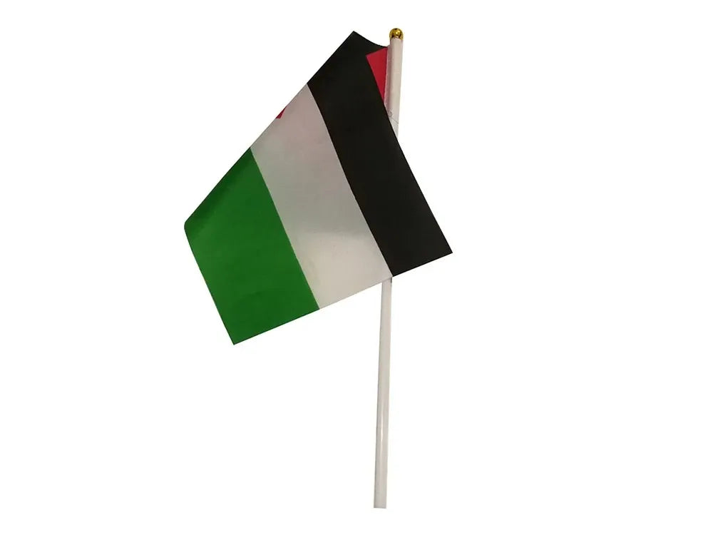 Drapeau à Main Palestine